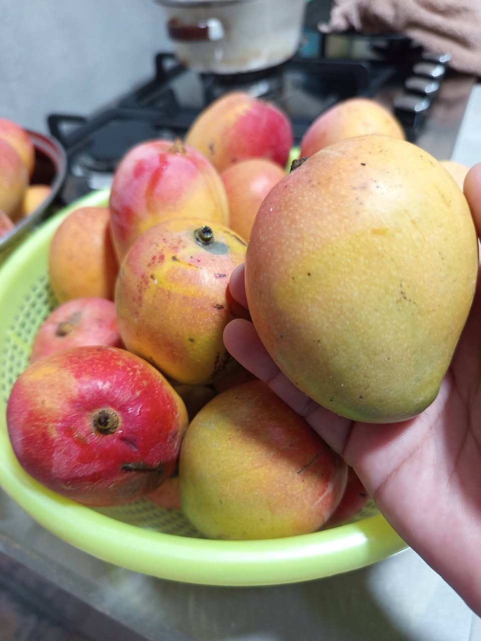 Mangos Frescos a Domicilio