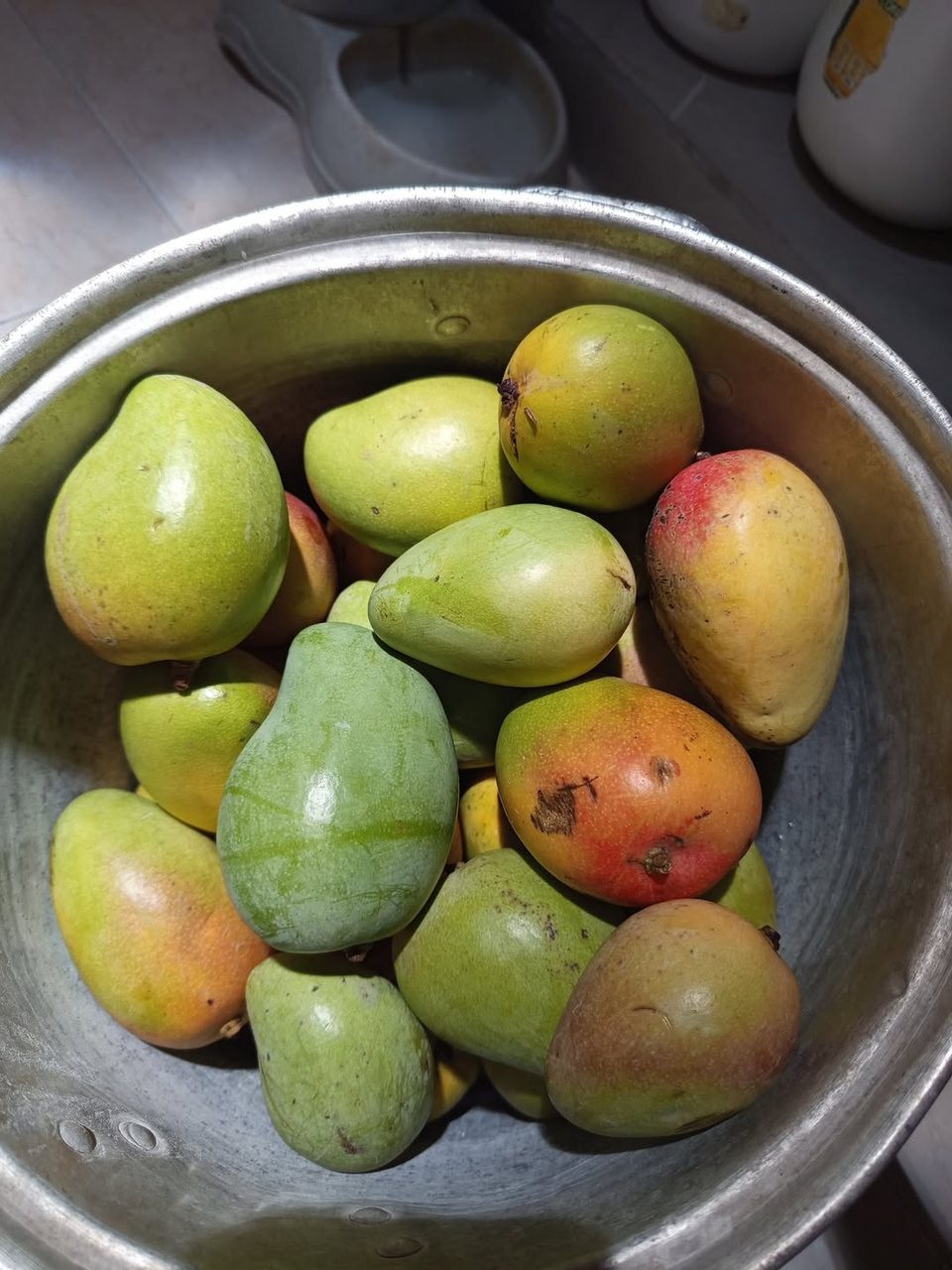 Mangos verdes y amarillos en recipiente metálico gris.