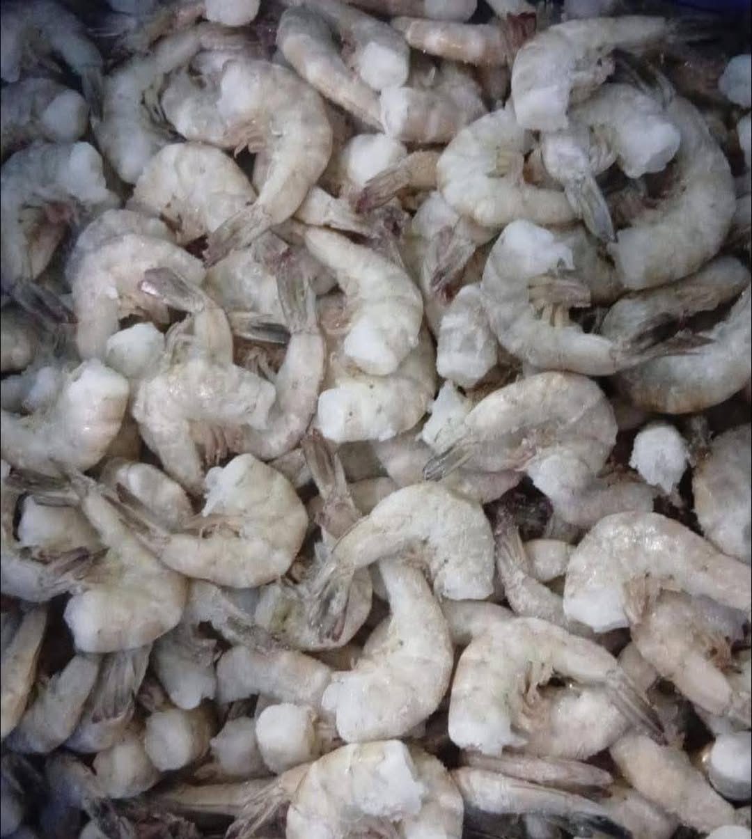 Mariscos El Camarón