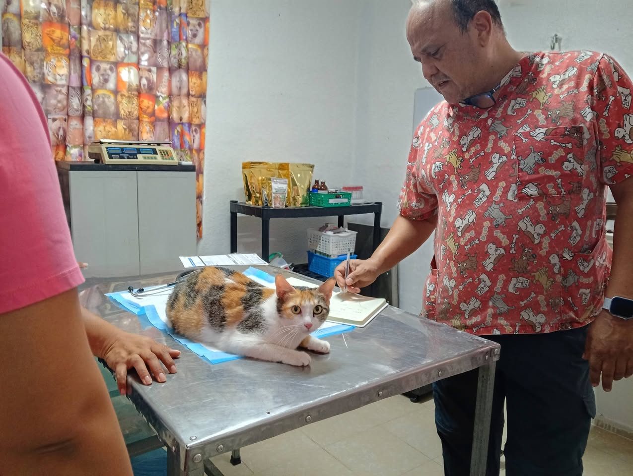 Minkis Pet's Veterinaria
