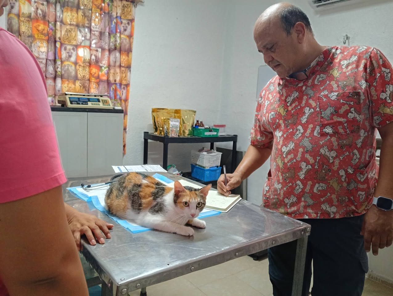 Minkis Pet's Veterinaria