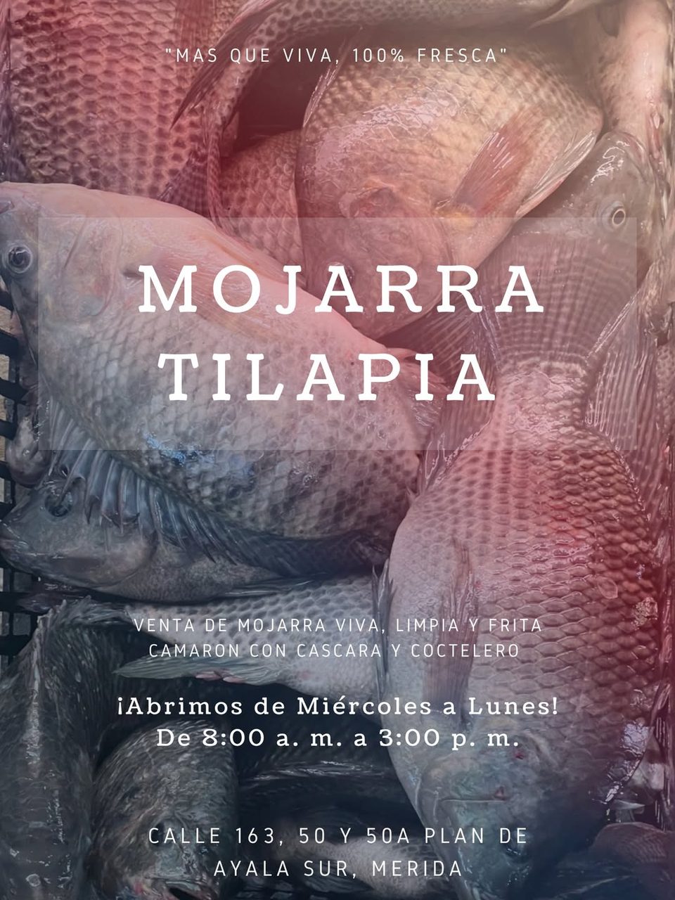 Mojarra Tilapia