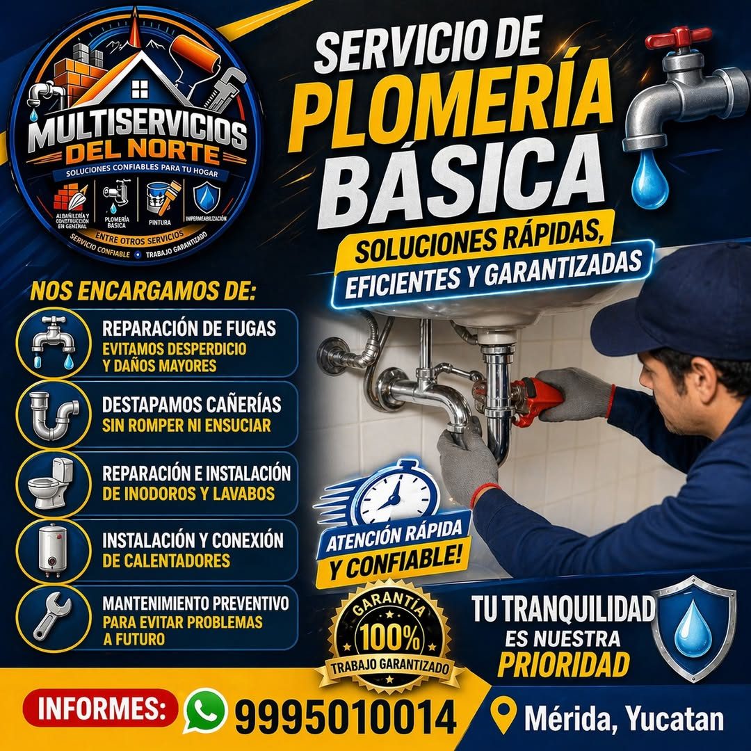Multiservicios del Norte — San Camilo