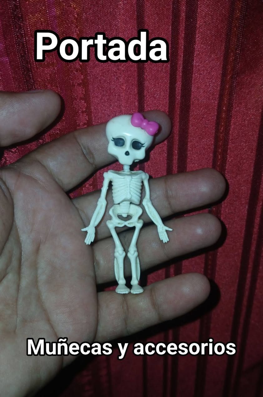 Muñecas y Accesorios