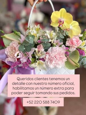 Loretta Florería Arreglos Florales Personalizados — Pensiones