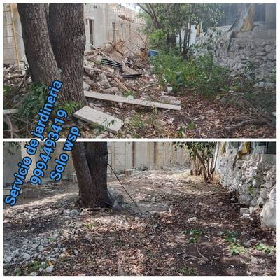 Desyerbe y retiro de escombro en Mérida, atención vía WhatsApp — Roble Agrícola