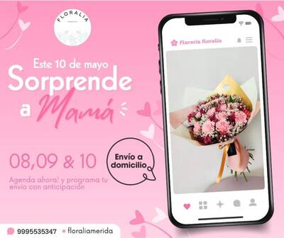 Arreglos Florales Personalizados — Pensiones