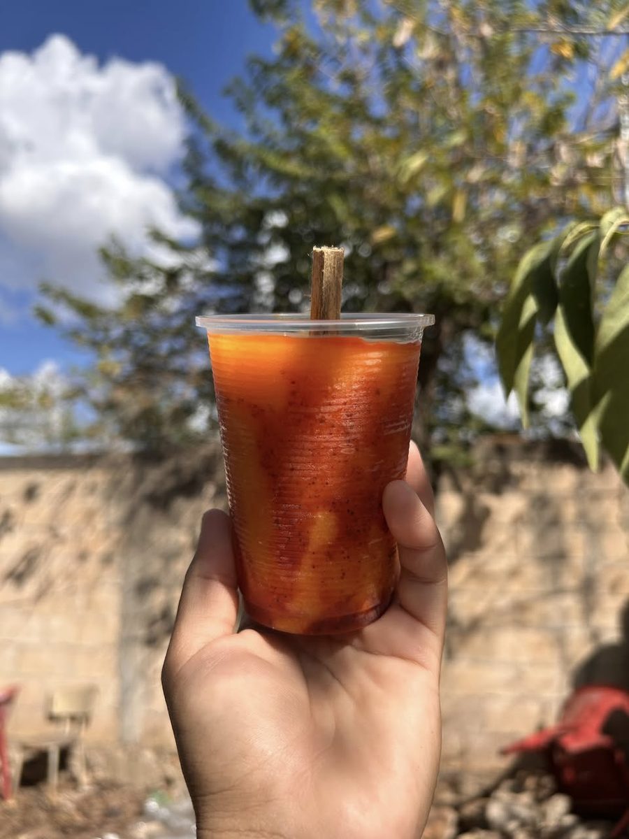 Elotes Esquites Y Alimentos Preparados