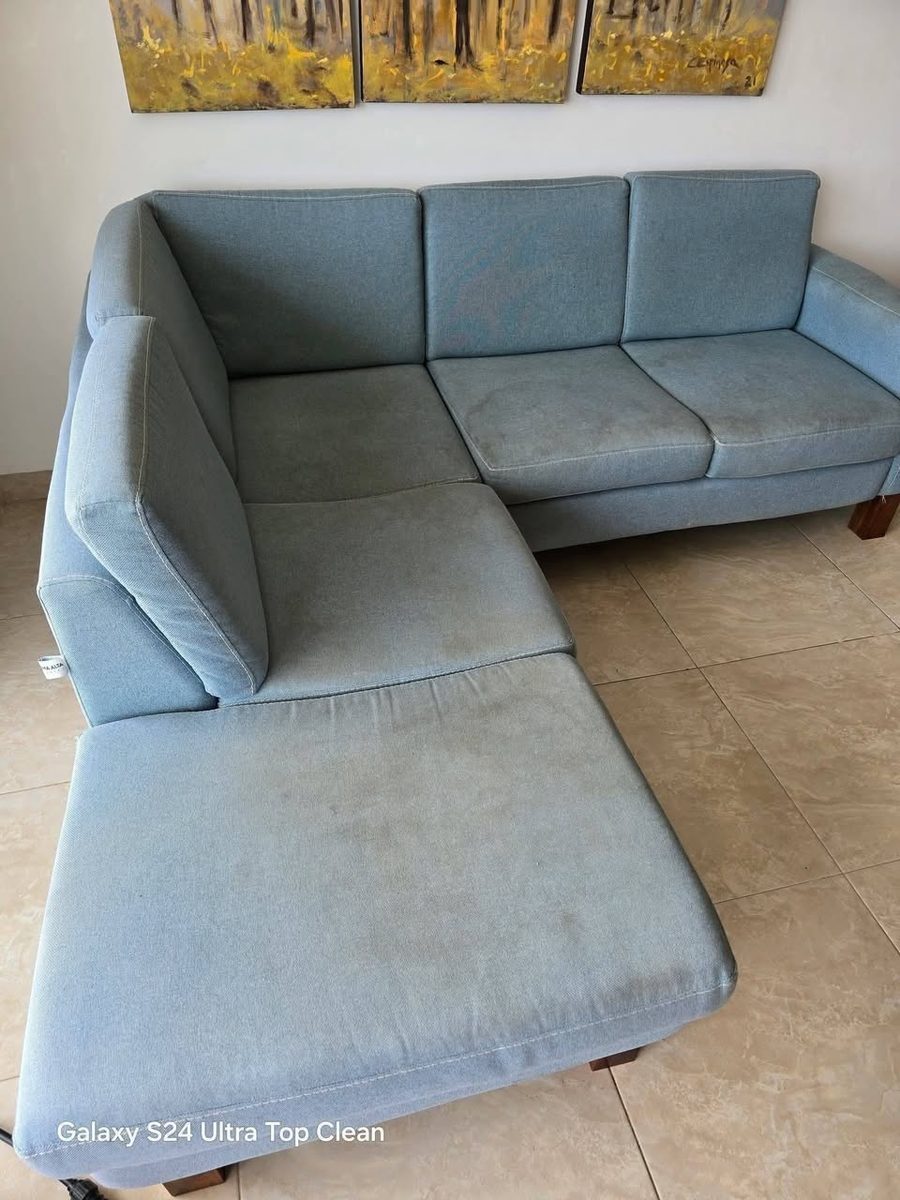 Limpieza Profunda de Muebles — Díaz Ordaz