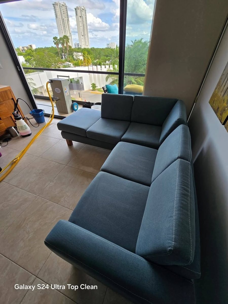 Limpieza Profunda de Muebles