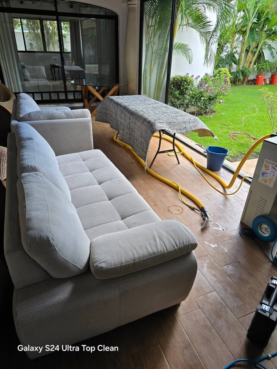 Limpieza Profunda de Muebles