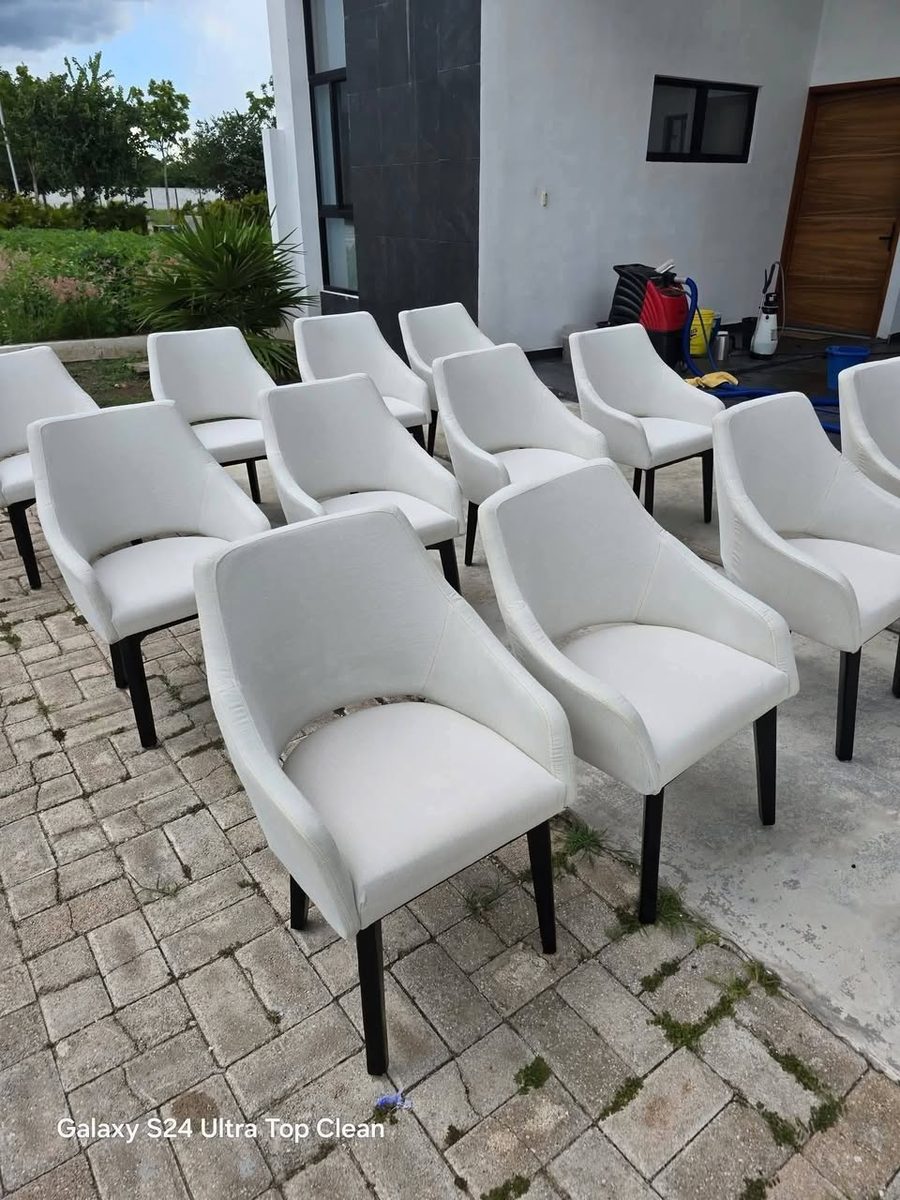 Limpieza Profunda de Muebles