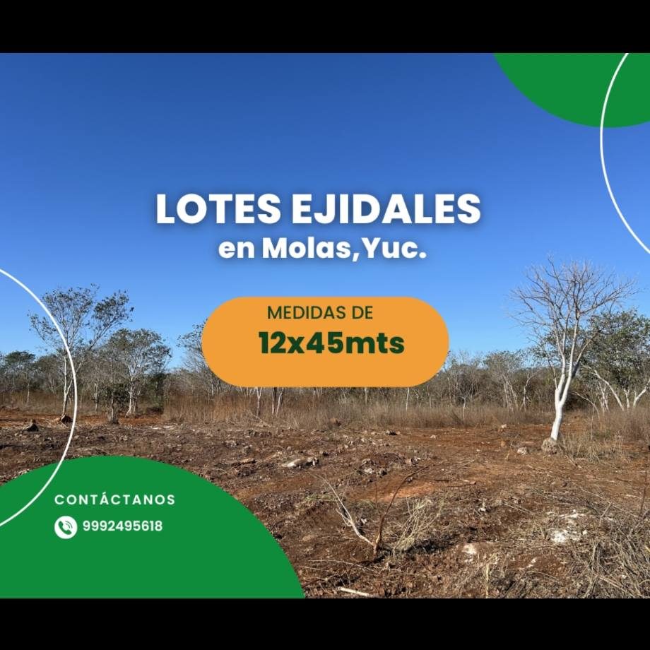 Lotes Ejidales - Molas