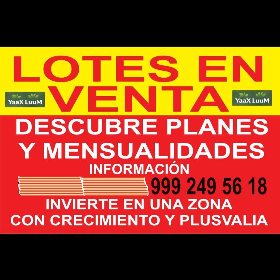 Lotes Ejidales - Molas