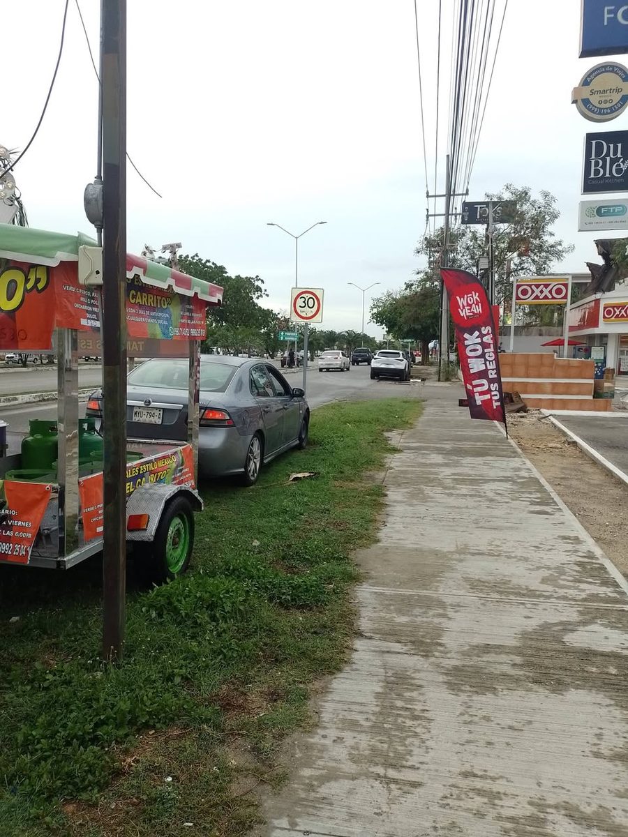 Tamales Estilo México