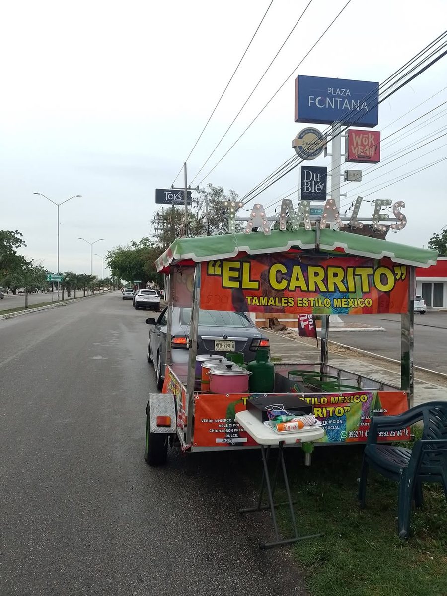 Tamales Estilo México