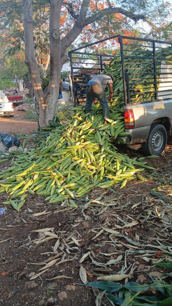 Venta de Elotes
