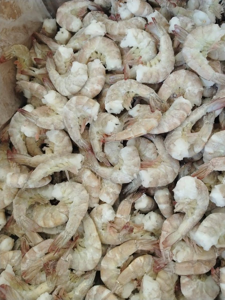 Mariscos Crustaceo - Camarones crudos y cocidos