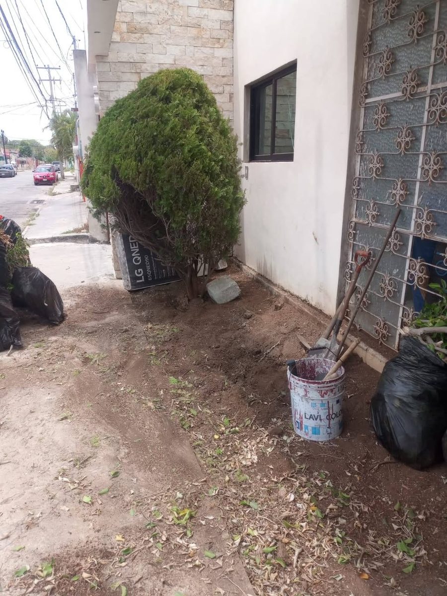 Jardinería Salazar — Kanasín