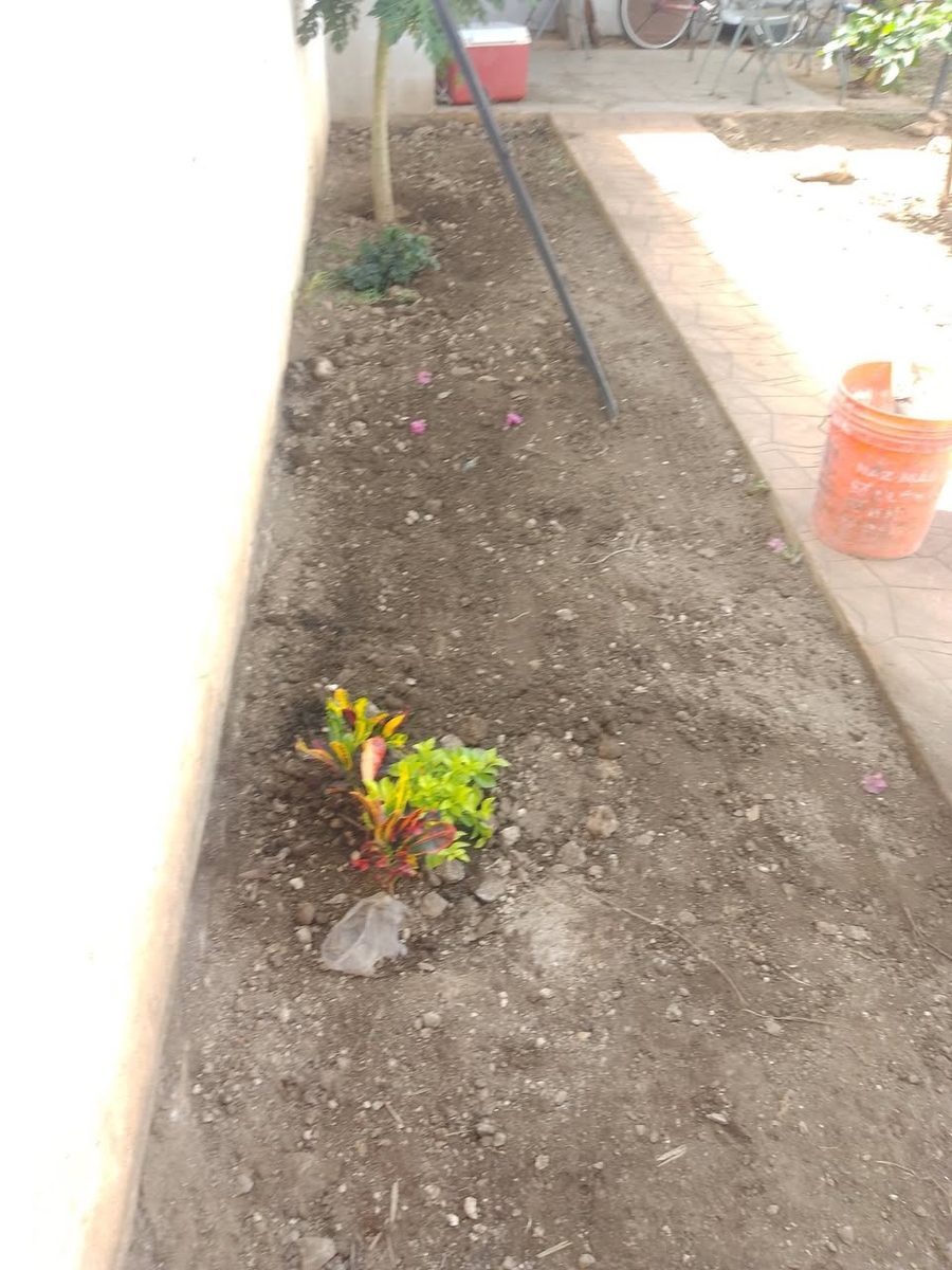 Jardinería Salazar