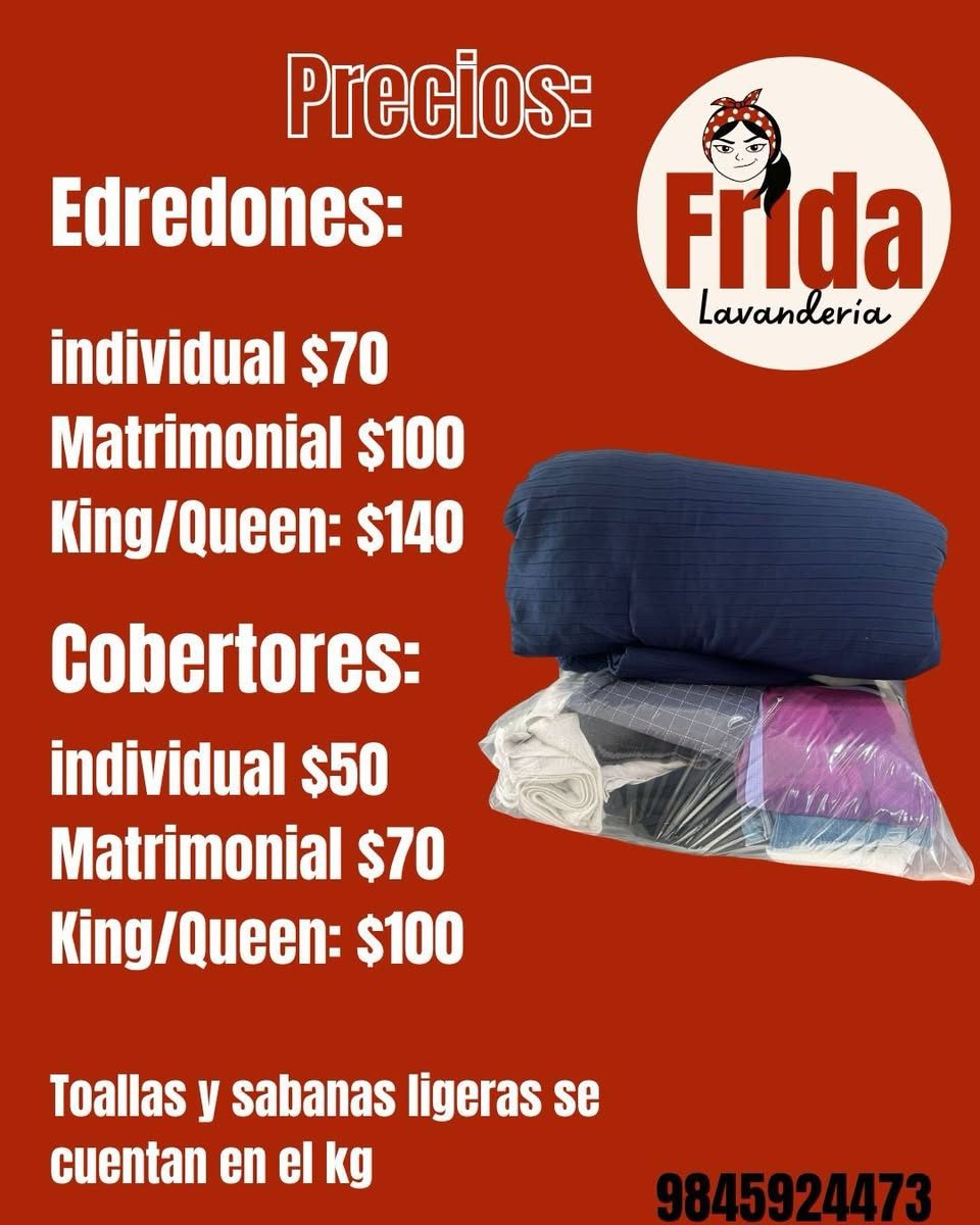 Frida Lavandería