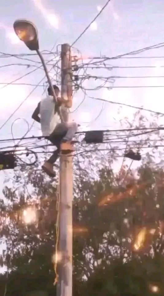 Plomería y Electricidad 24h
