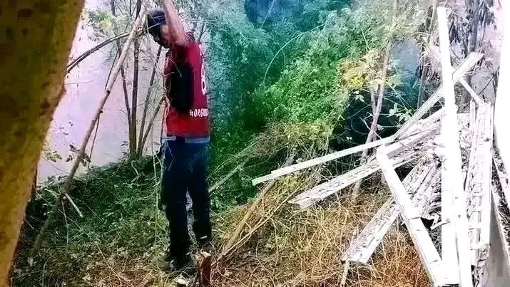 Limpieza de Patios y Jardinería
