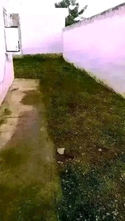Limpieza de Patios y Jardinería