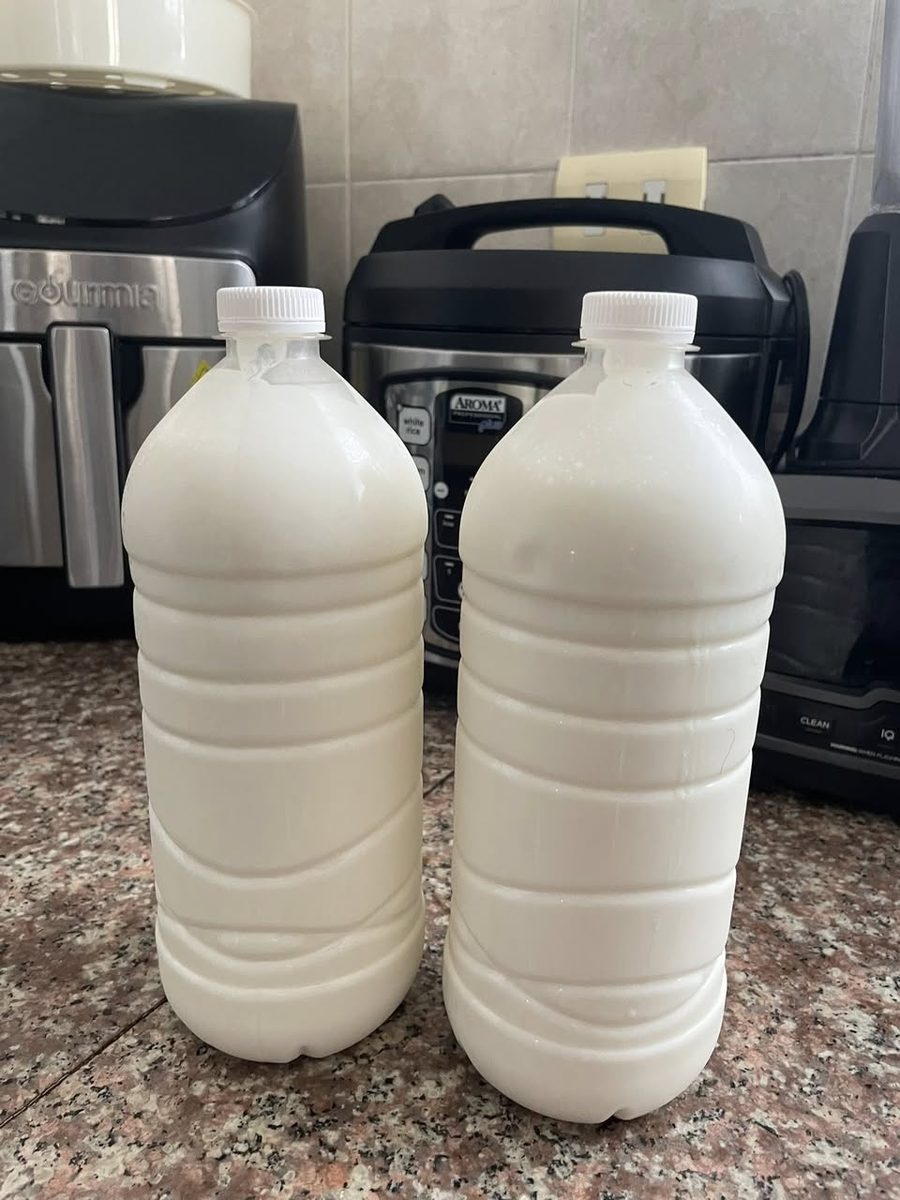 Venta de Kéfir y Búlgaros — Las Américas