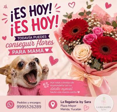 La Regalería by Sara, Flores frescas para mamá en Plaza Mayor — Pensiones