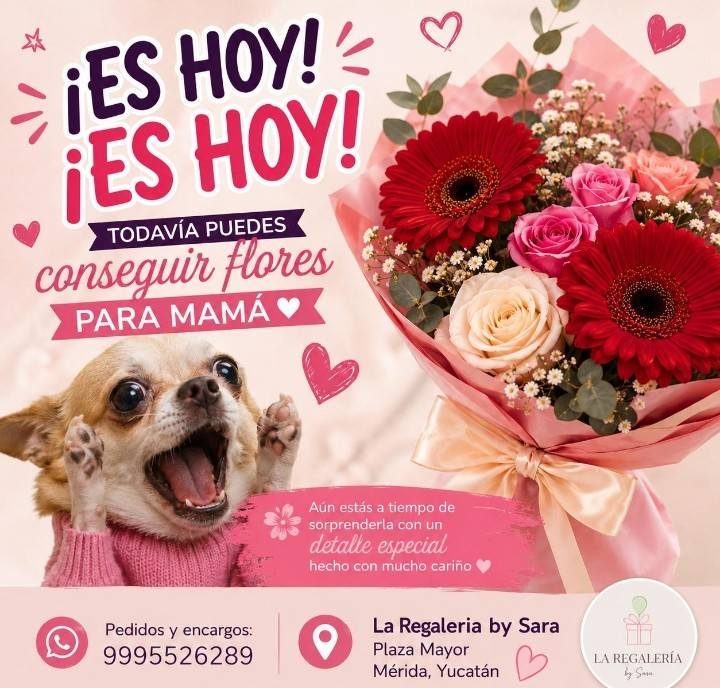 La Regalería by Sara, Flores frescas para mamá en Plaza Mayor