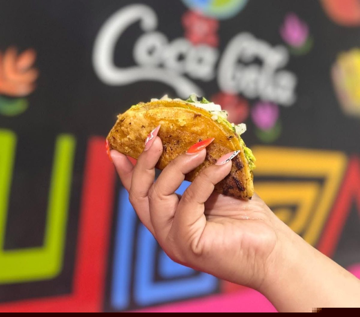 El Elotito, Promoción Quesabirrias 2 por $170