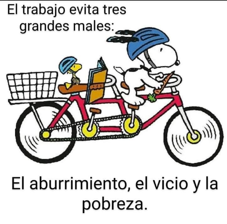 Taller de Bicicletas Chasan — Díaz Ordaz