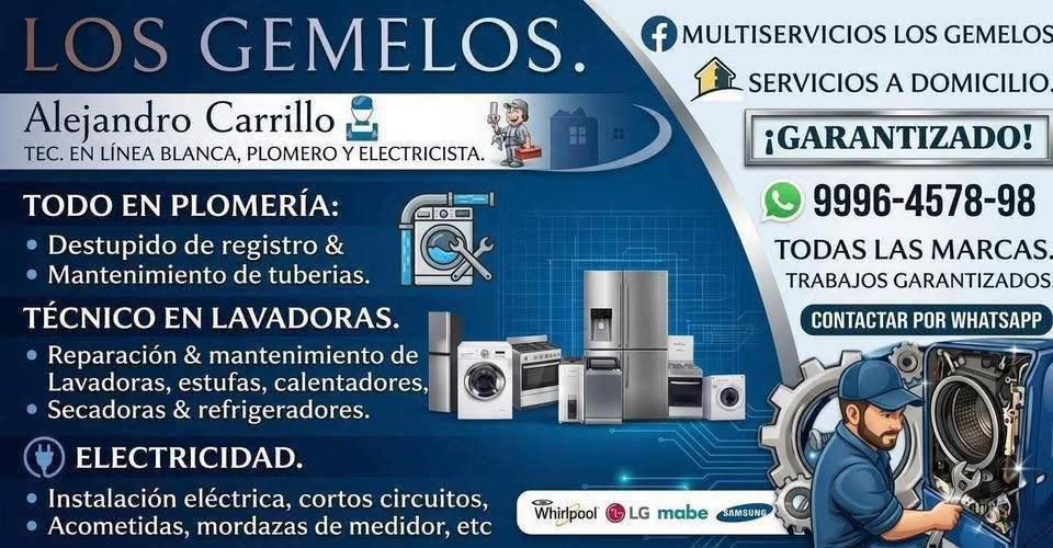 Multiservicios Los Gemelos — Díaz Ordaz