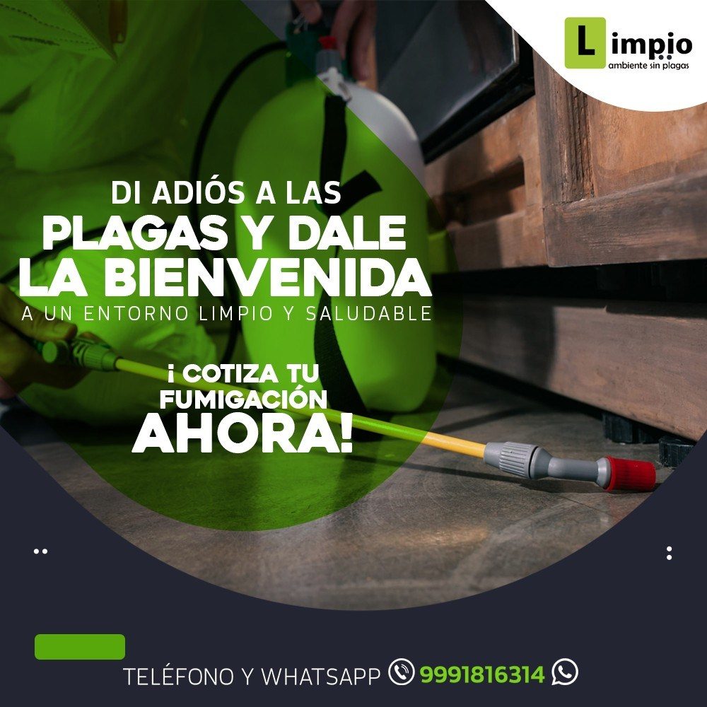 Limpio Control de Plagas — Díaz Ordaz