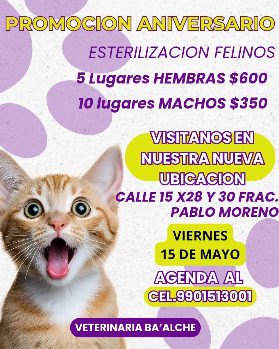 Ba’alche Farmacia Veterinaria — Kanasín