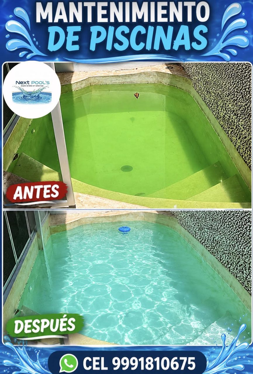 Next Pool's mantenimiento — San Camilo