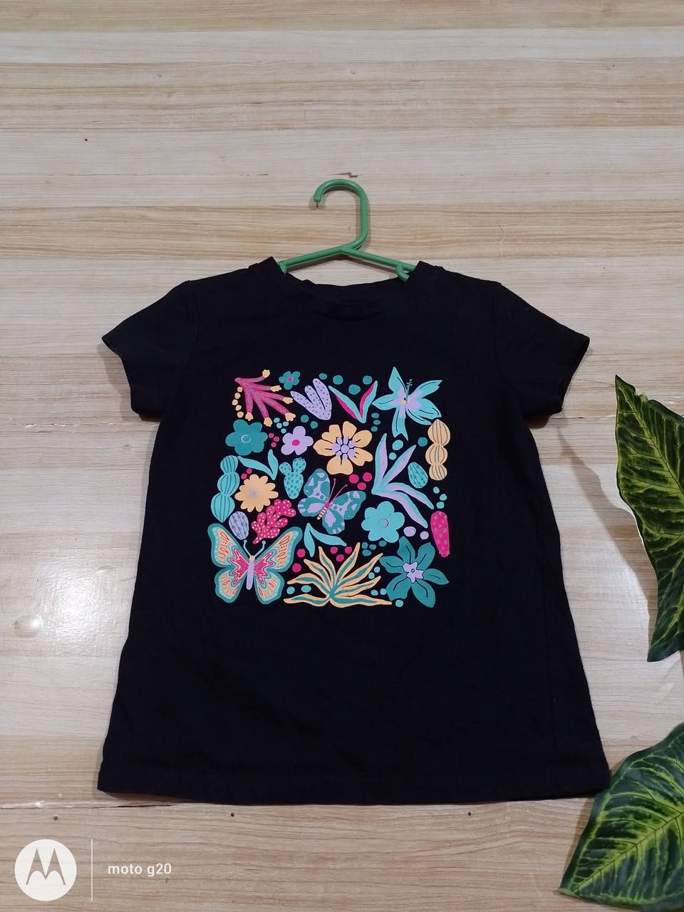 Pacas Sinahy — Cholul
