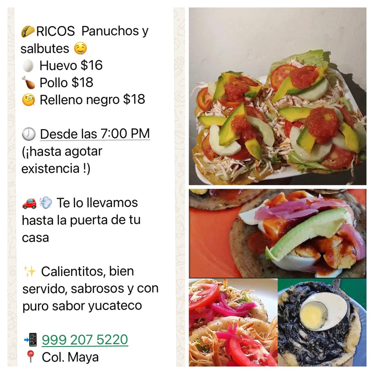 Panuchos y Salbutes Col. Maya