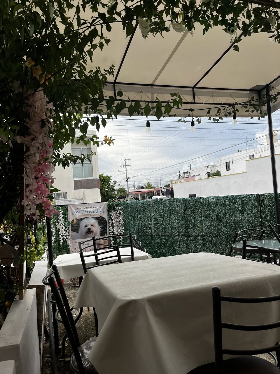 Pastas, Paninis y Pizzas en Francisco Montejo