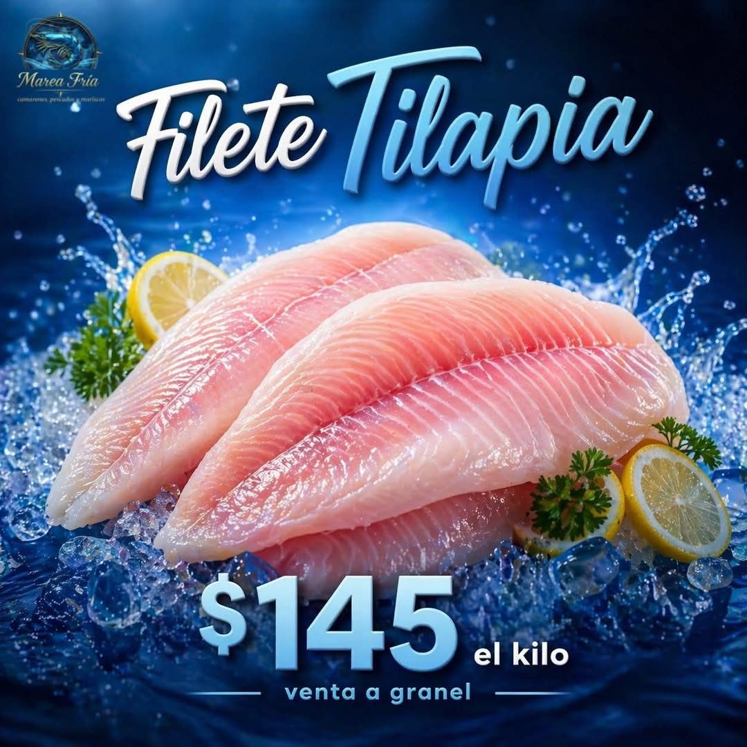 Filetes de tilapia fresca sobre hielo con limón y hierbas