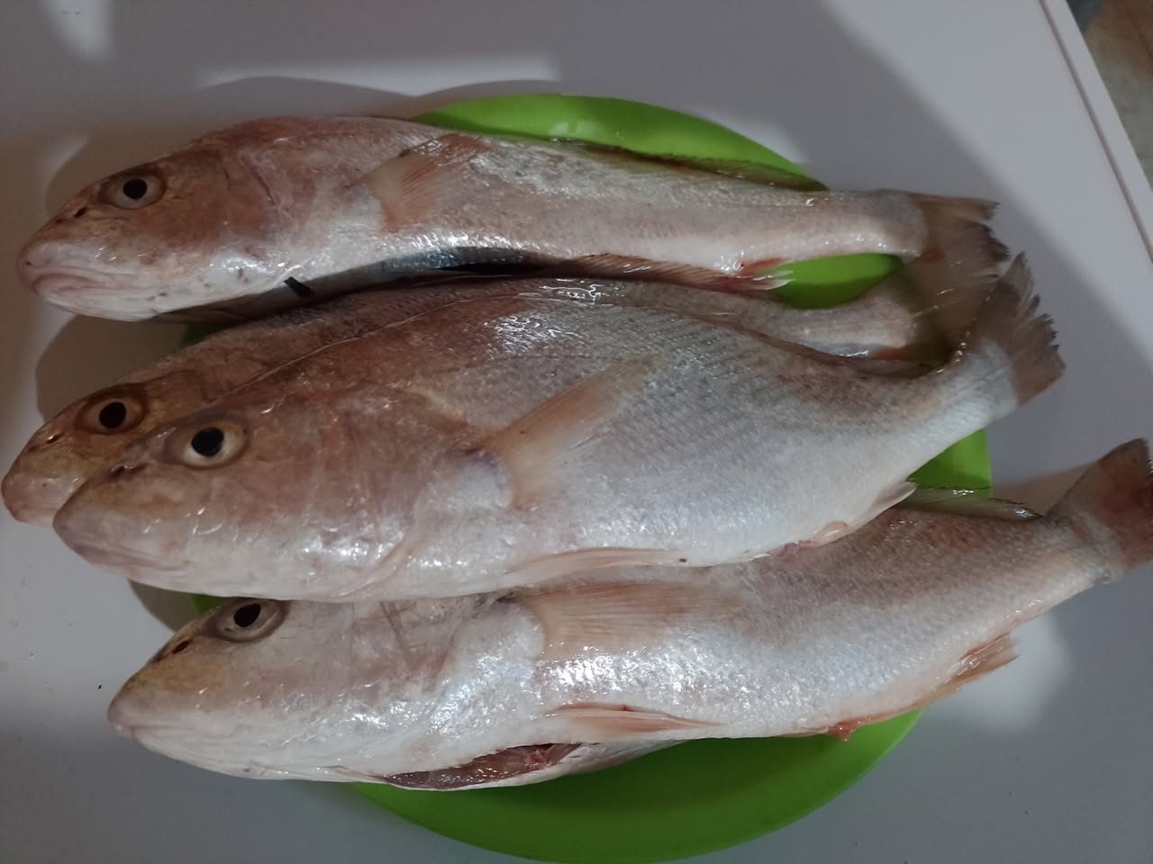 Pescados y Mariscos Fresco