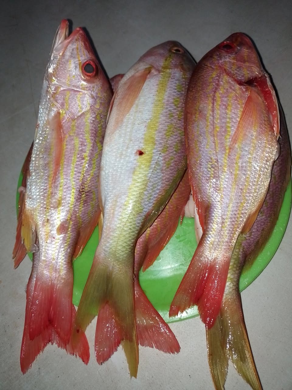 Pescados y Mariscos Fresco