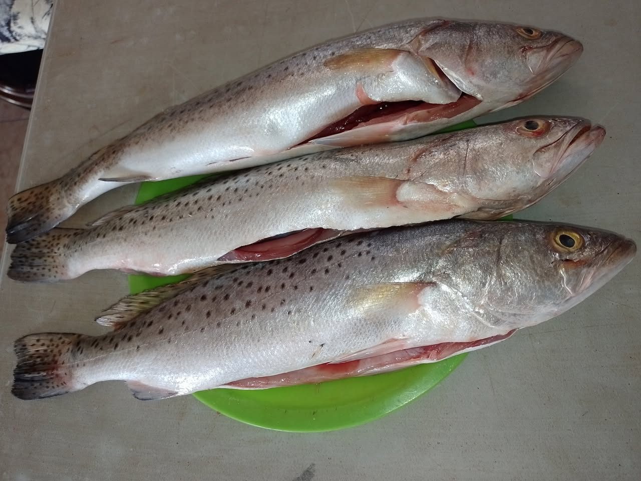 Pescados y Mariscos Fresco