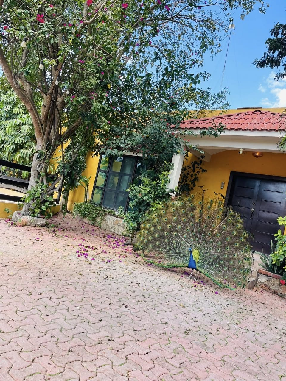 Quinta Santamaría