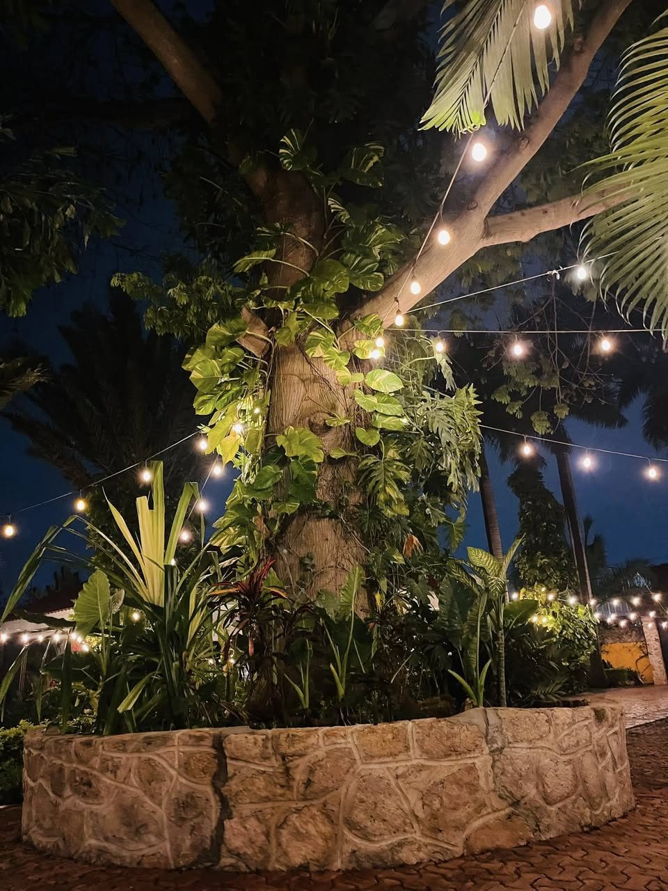 Quinta Santamaría, Eventos y Sesiones — Vergel
