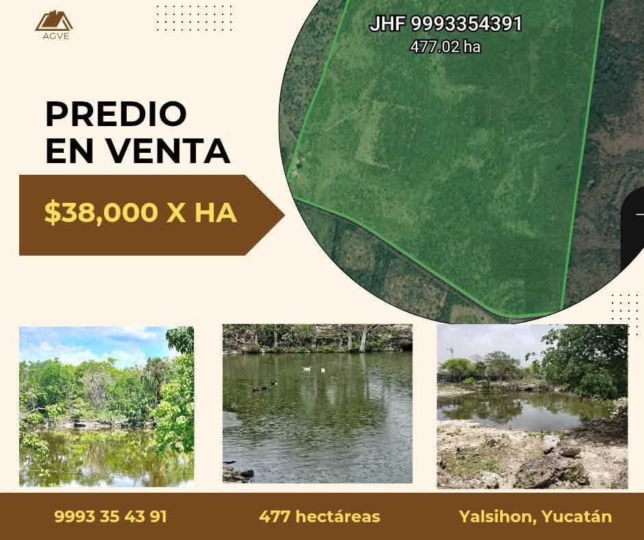 Ranchos y Parcelas en Venta