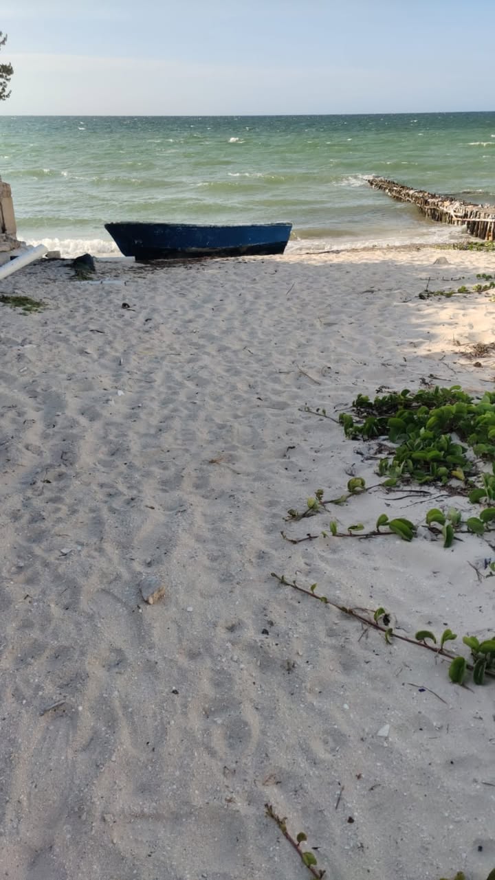 Renta de Casa en Progreso