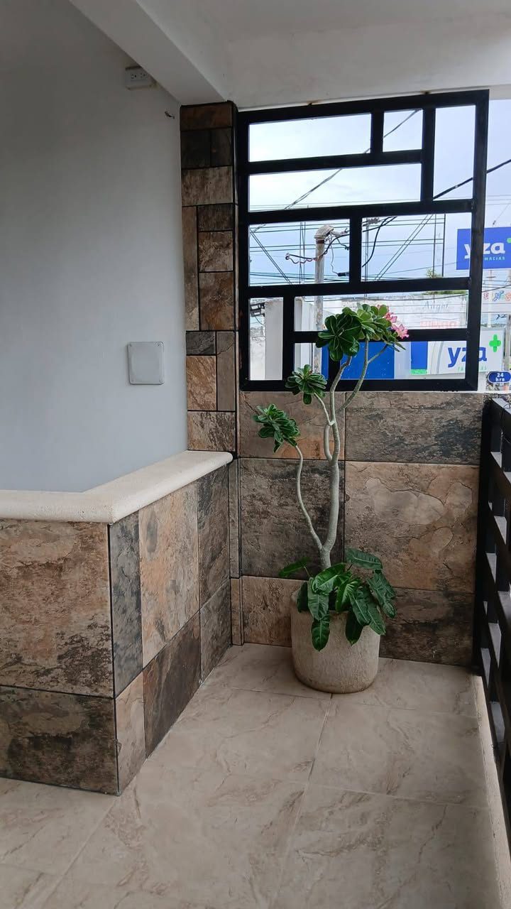 Renta Oficina Maria Luisa