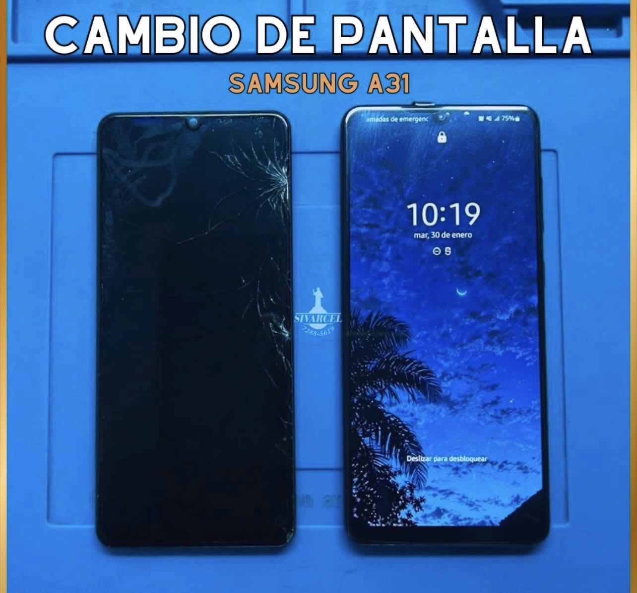 Reparación de Celulares